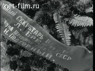 Киножурнал Новости дня / хроника наших дней №31-1969 (1969)