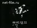 Новости дня / хроника наших дней №21-1969 Великий подвиг народа. Праздник освобождения и дружбы. Кинорепортаж