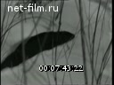 Новости дня / хроника наших дней №21-1969 Великий подвиг народа. Праздник освобождения и дружбы. Кинорепортаж