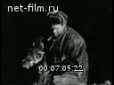 Новости дня / хроника наших дней №20-1969 Пятилетка, год четвертый. Кинорепортаж. Спорт