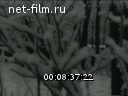 Новости дня / хроника наших дней №5-1969 Родина встречает героев. Пятилетка, год четвертый. Русская зима