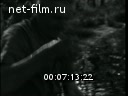 Footage frame