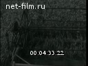 Новости дня / хроника наших дней №48-1967