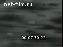 Новости дня / хроника наших дней №28-1967