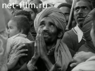 News Foreign newsreels №6572 (1981)