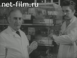 Новости Зарубежные киносюжеты №5799 (1978)