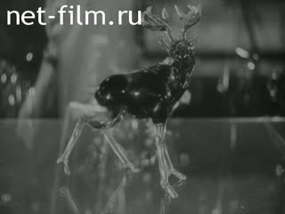 News Foreign newsreels №1757 (1968)