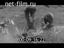 Footage frame