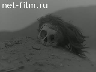 News Foreign newsreels №965 (1963)