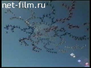 Telecast Sight (1997 №148) 05.12.1997.