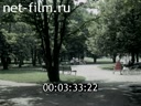 Кадр видео