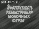 Эффективность реконструкции молочных ферм