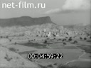 Foreign newsreels №6538