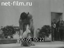 Кадр видео
