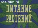 Питание растений. Раздел 1