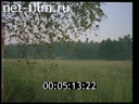 Footage frame