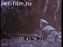 Footage frame