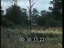 Footage frame