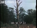 Footage frame