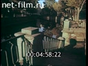 Footage frame