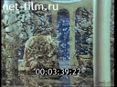 Footage frame