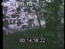 Footage frame