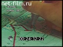 Взгляд №253 03.04.2000