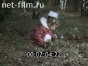 Кадр видео