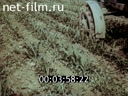 Footage frame