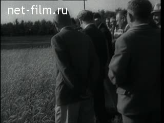 Киножурнал Новости дня / хроника наших дней №32-1964 (1964)