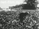 Footage frame