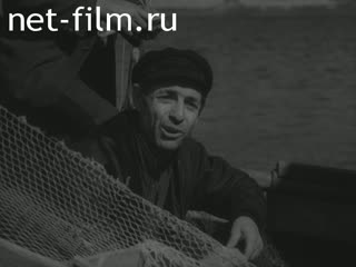 Новости Зарубежные киносюжеты №3035 (1972)