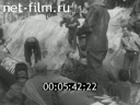 Footage frame