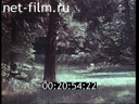 Footage frame