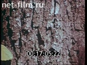 Footage frame