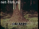 Footage frame