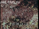 Footage frame