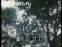 Footage frame