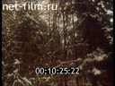 Footage frame