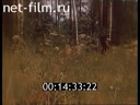 Footage frame