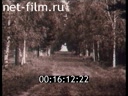 Footage frame