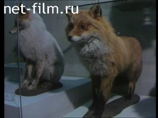 Movie Monkeys have nothing to do with it?. (2003)