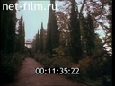 Footage frame