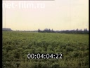 Footage frame