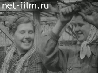 Киножурнал Тонвохе №556 (1942)