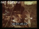 Footage frame