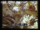 Footage frame