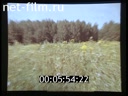 Footage frame