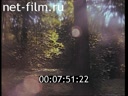 Footage frame