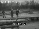 Кадр видео